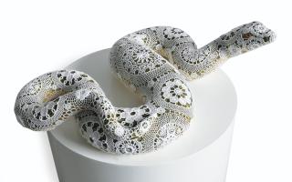 Joana Vasconcelos - Chimène