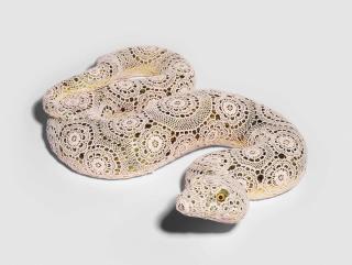 Joana Vasconcelos - Elly