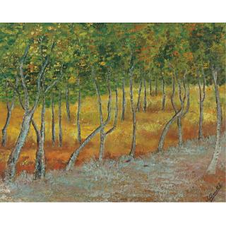 Joaquín Clausell - Bosquejo