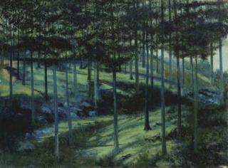 Joaquín Clausell - Paisaje de noche