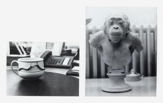 Jochen Lempert - Ohne Titel (Affe/Tasse) (2-teilig)