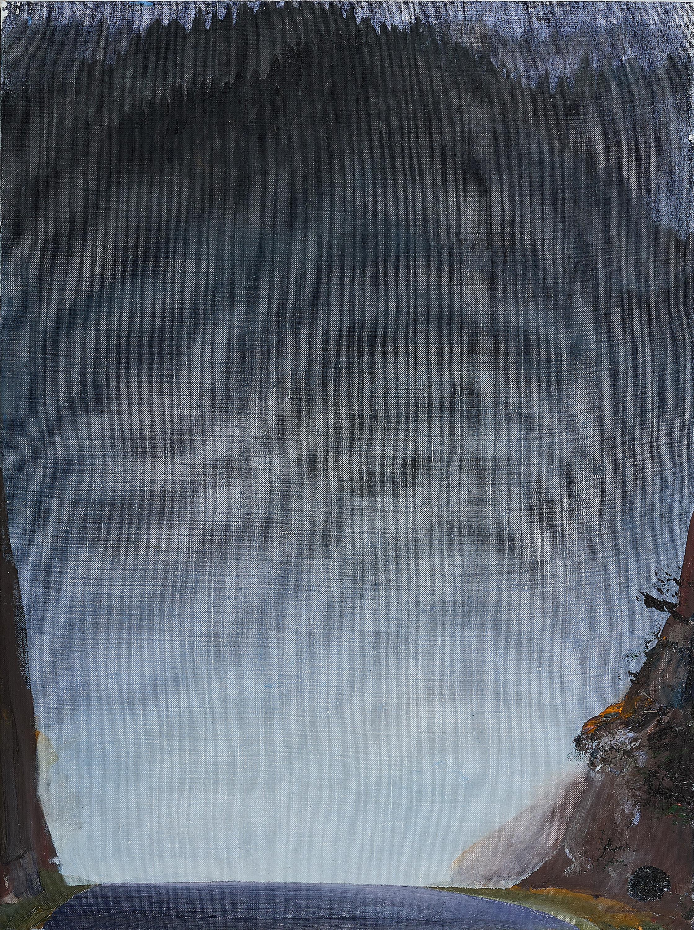 Jochen Mühlenbrink - Schwarzwald.