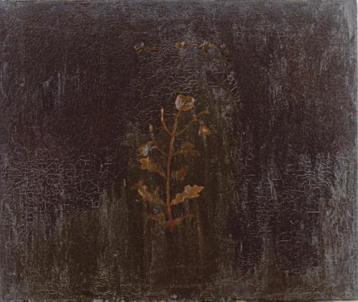 Joe Andoe - At Limbo