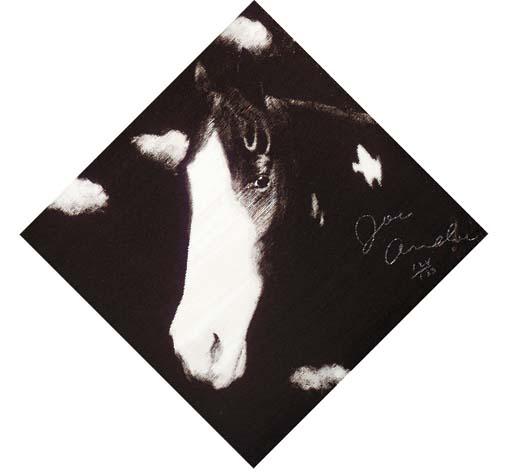 Joe Andoe - Two Horses