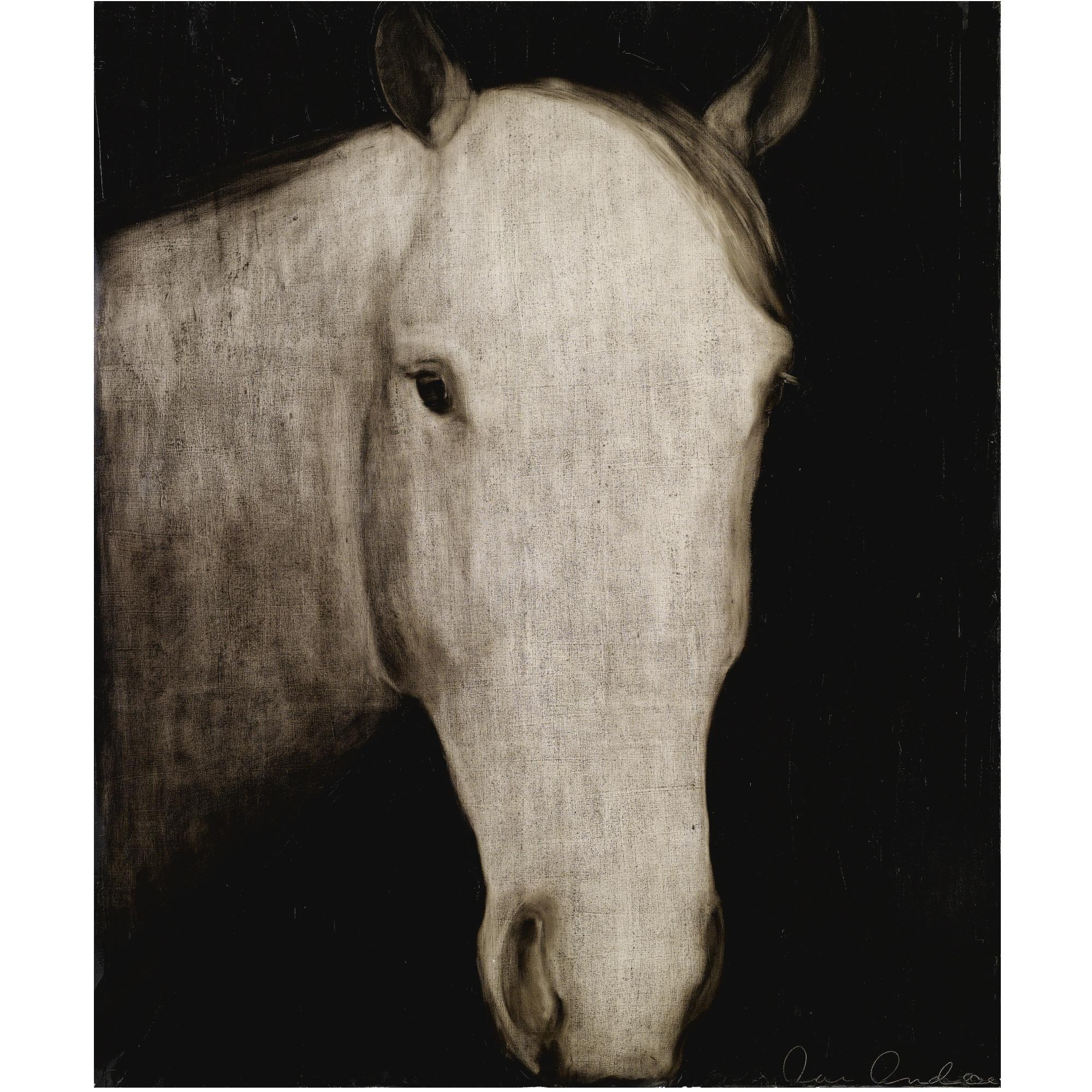 Joe Andoe - Untitled (Horse Head)