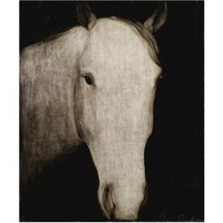 Joe Andoe - Untitled (Horse Head)