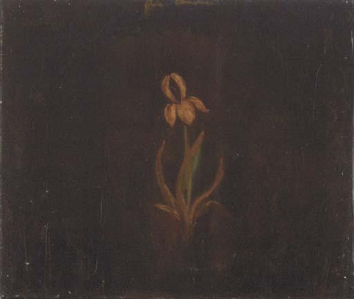 Joe Andoe - Untitled (Iris), 1988