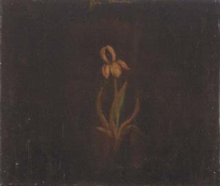 Joe Andoe - Untitled (Iris), 1988