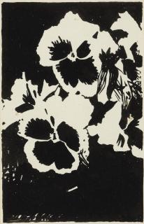 Joe Brainard - Untitled (Black Pansies)