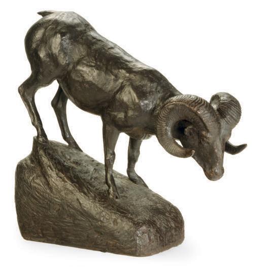 Joe Ferrara - Mountain Goat