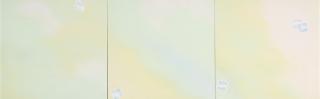 Joe Goode - Cloud-Photograph Triptych