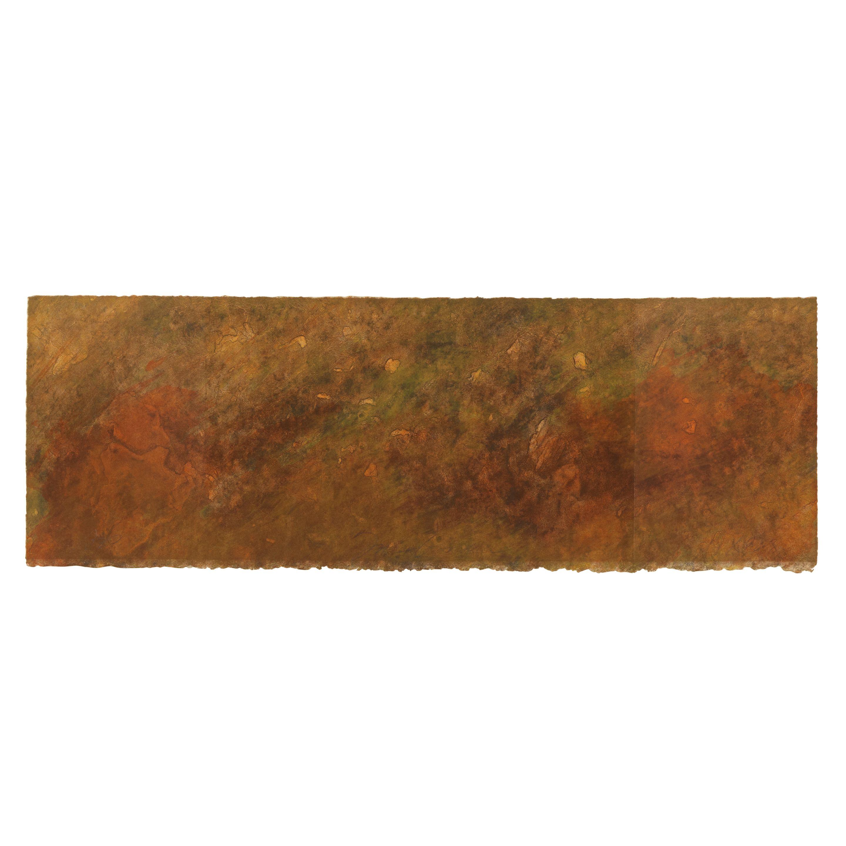 Joe Goode - Forest Fire