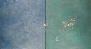 Joe Goode - Oak Rock