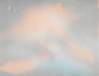 Joe Goode - Two Plates, from Tissue Tear Series 2