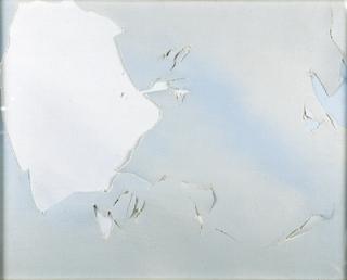 Joe Goode - Vandalism Series