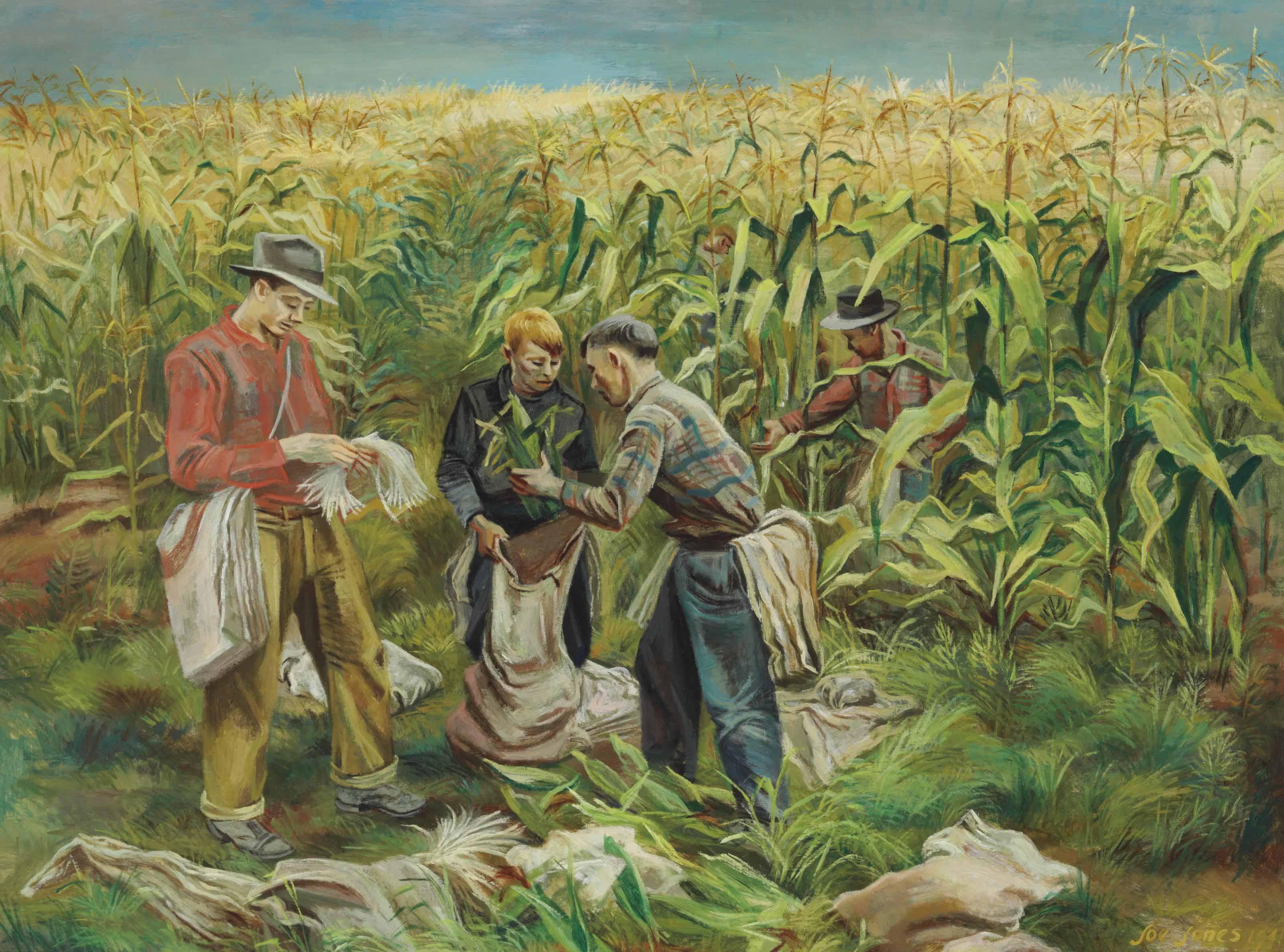 Joe Jones - Cornfield
