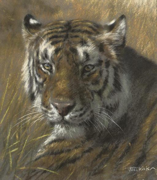 Joel Kirk - Tiger