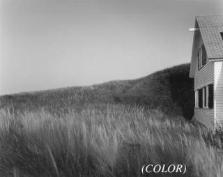 Joel Meyerowitz - Dune Grass (1985); and Table (1983)