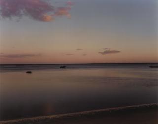 Joel Meyerowitz - Images From \