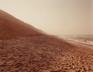 Joel Meyerowitz - \