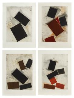 Joel Shapiro - Crommelynck Portfolio