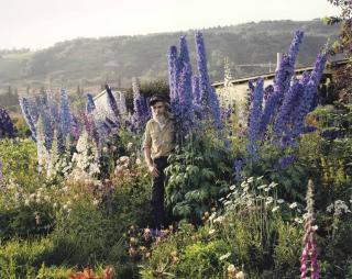 Joel Sternfeld - A Blind Man In His Garden, Homer, Alaska, June 1984
