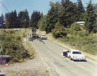 Joel Sternfeld - Exhausted Renegade Elephant, Woodland, Washington, 1979