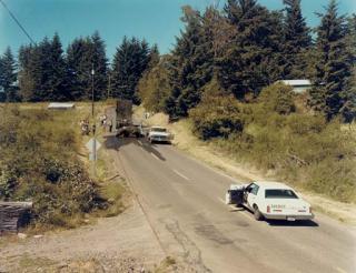Joel Sternfeld - Exhausted Renegade Elephant, Woodland, Washington, June 1979
