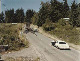 Joel Sternfeld - Exhausted Renegade Elephant, Woodland, Washington, June 1979