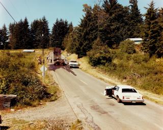 Joel Sternfeld - Exhausted Renegade Elephant, Woodland, Washington