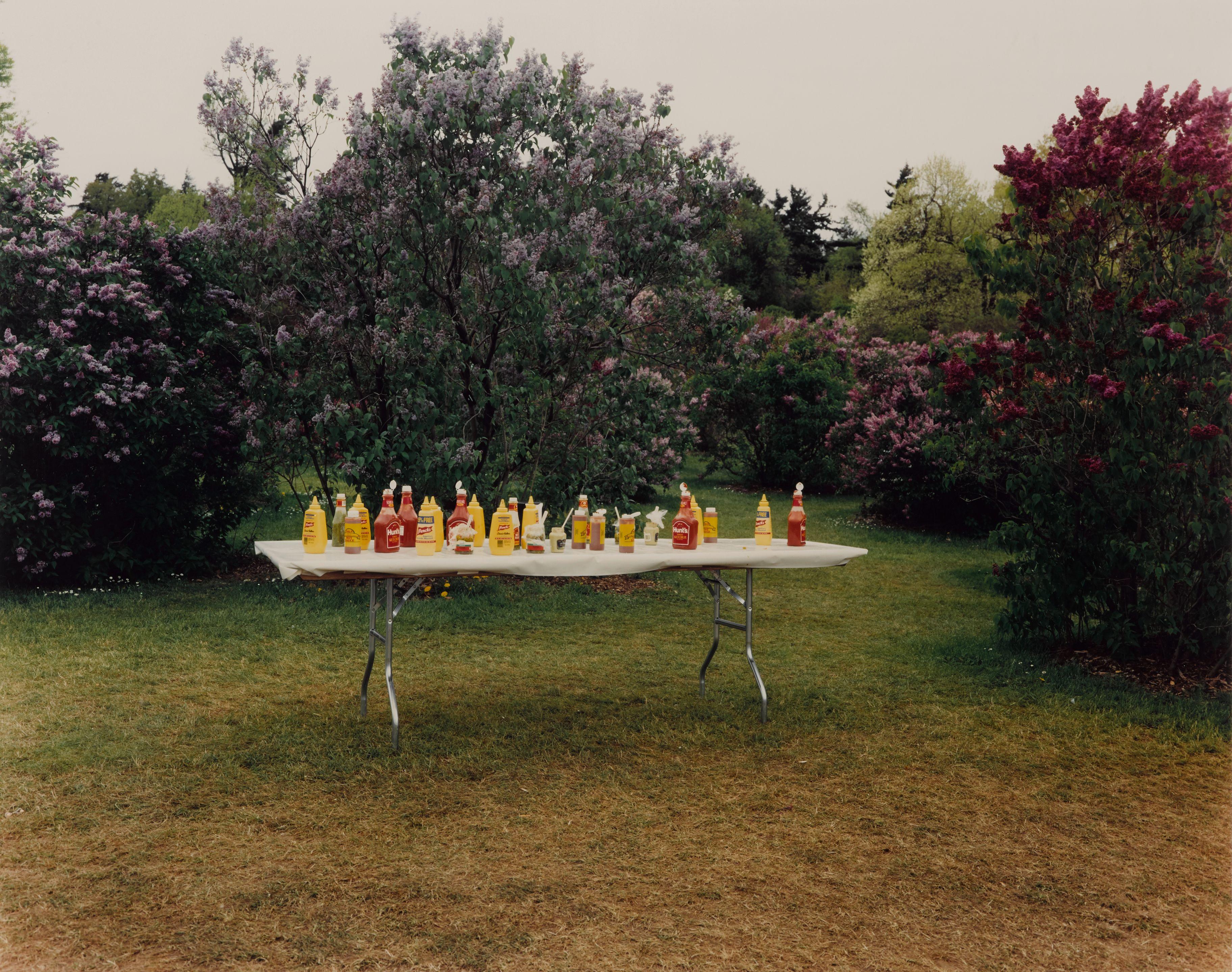 Joel Sternfeld - Lilac Festival, Rochester, NY, May