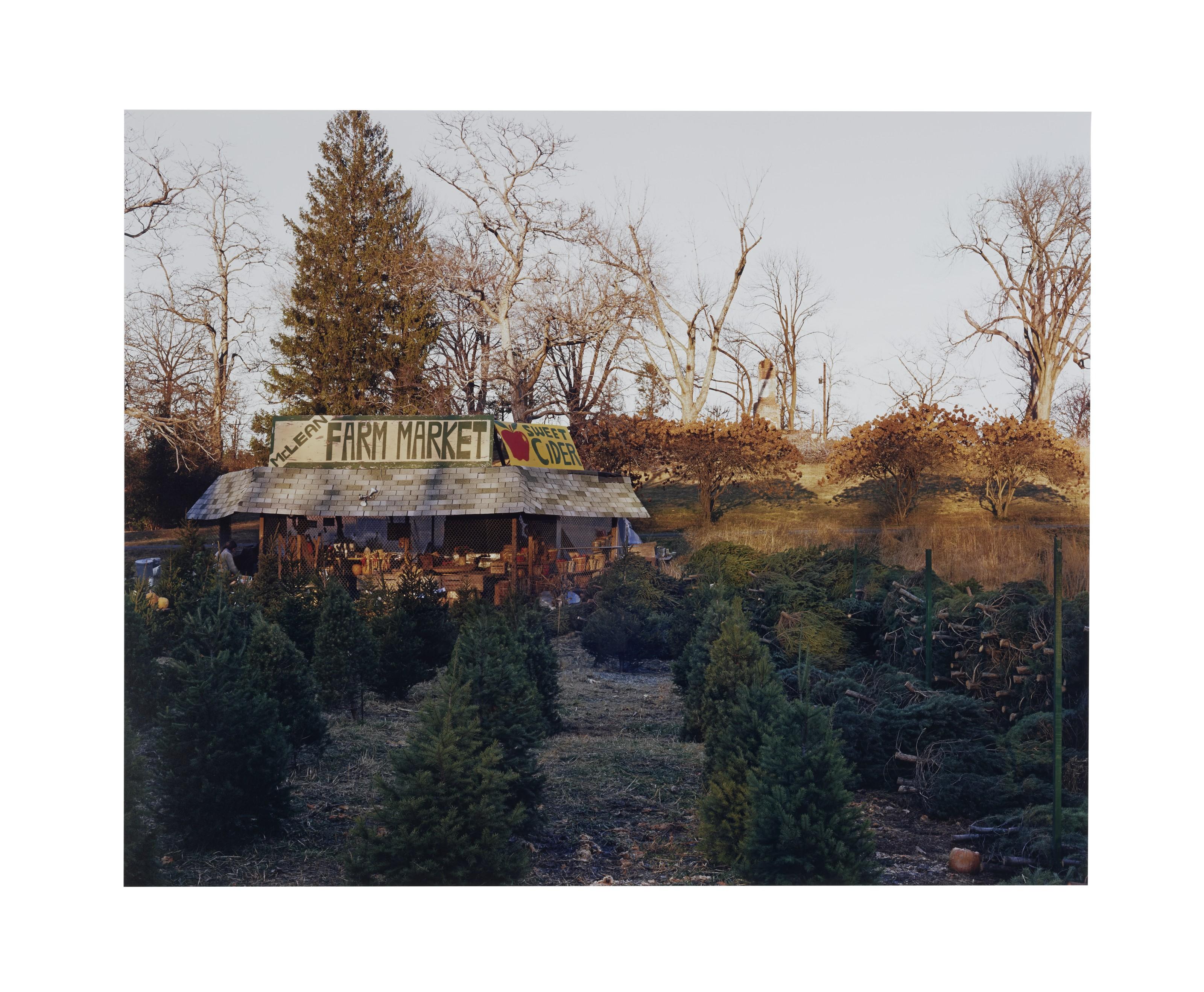 Joel Sternfeld - McLean, Virginia, December 5th, 1978