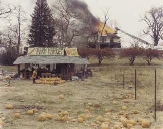 Joel Sternfeld - McLean, Virginia