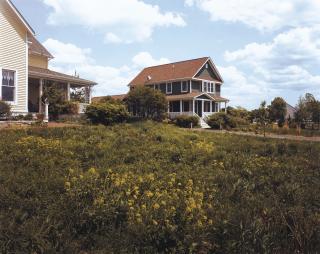 Joel Sternfeld - Prairie Crossing, Grayslake, Illinois, May 2005\'