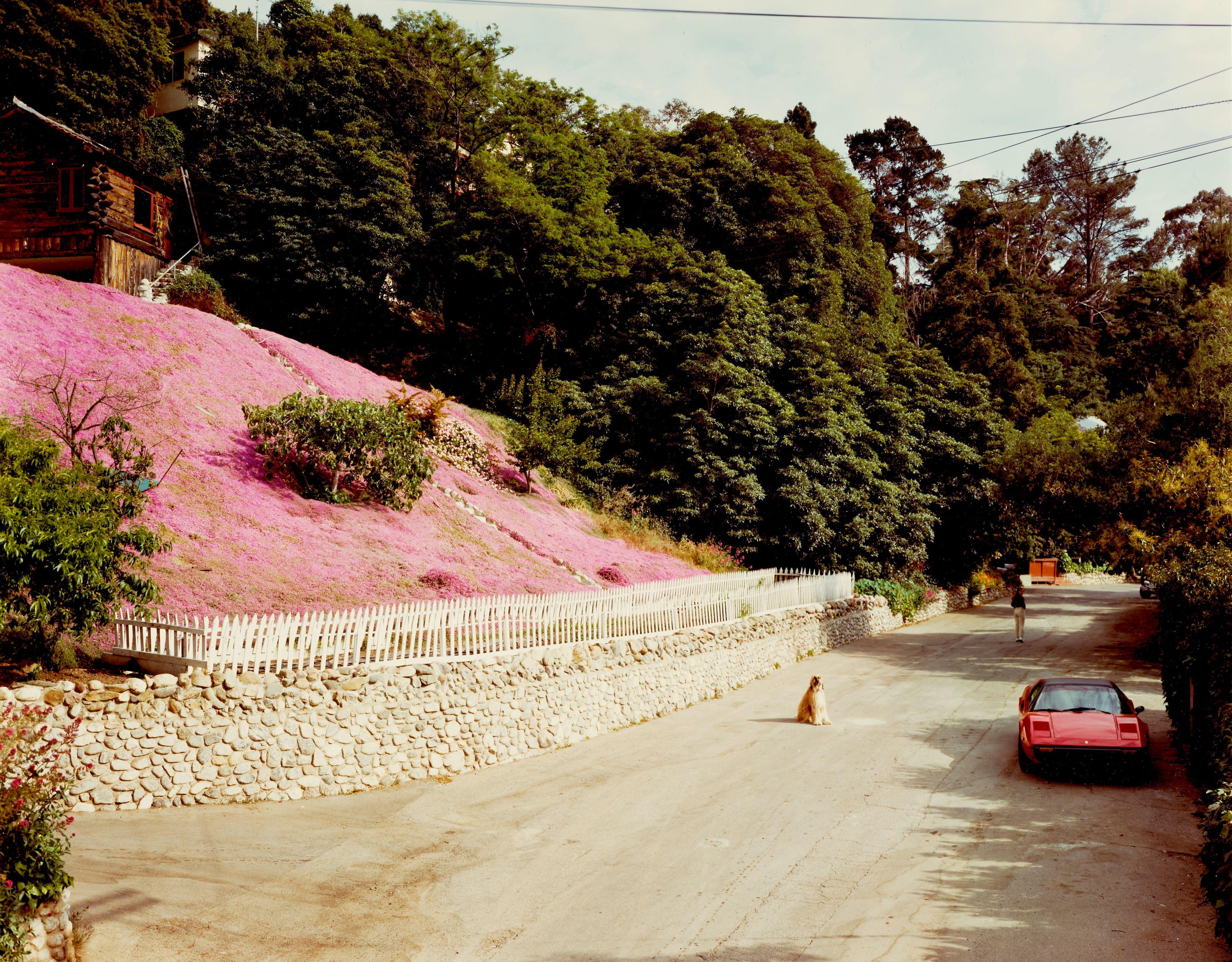 Joel Sternfeld - Rustic Canyon, Santa Monica, California, May, 1979