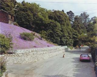 Joel Sternfeld - Rustic Canyon, Santa Monica, California, May 1979