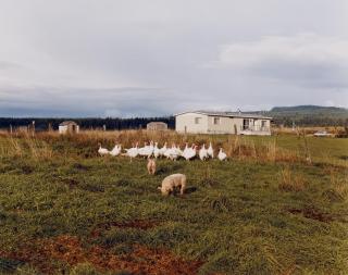 Joel Sternfeld - »Troutdale«