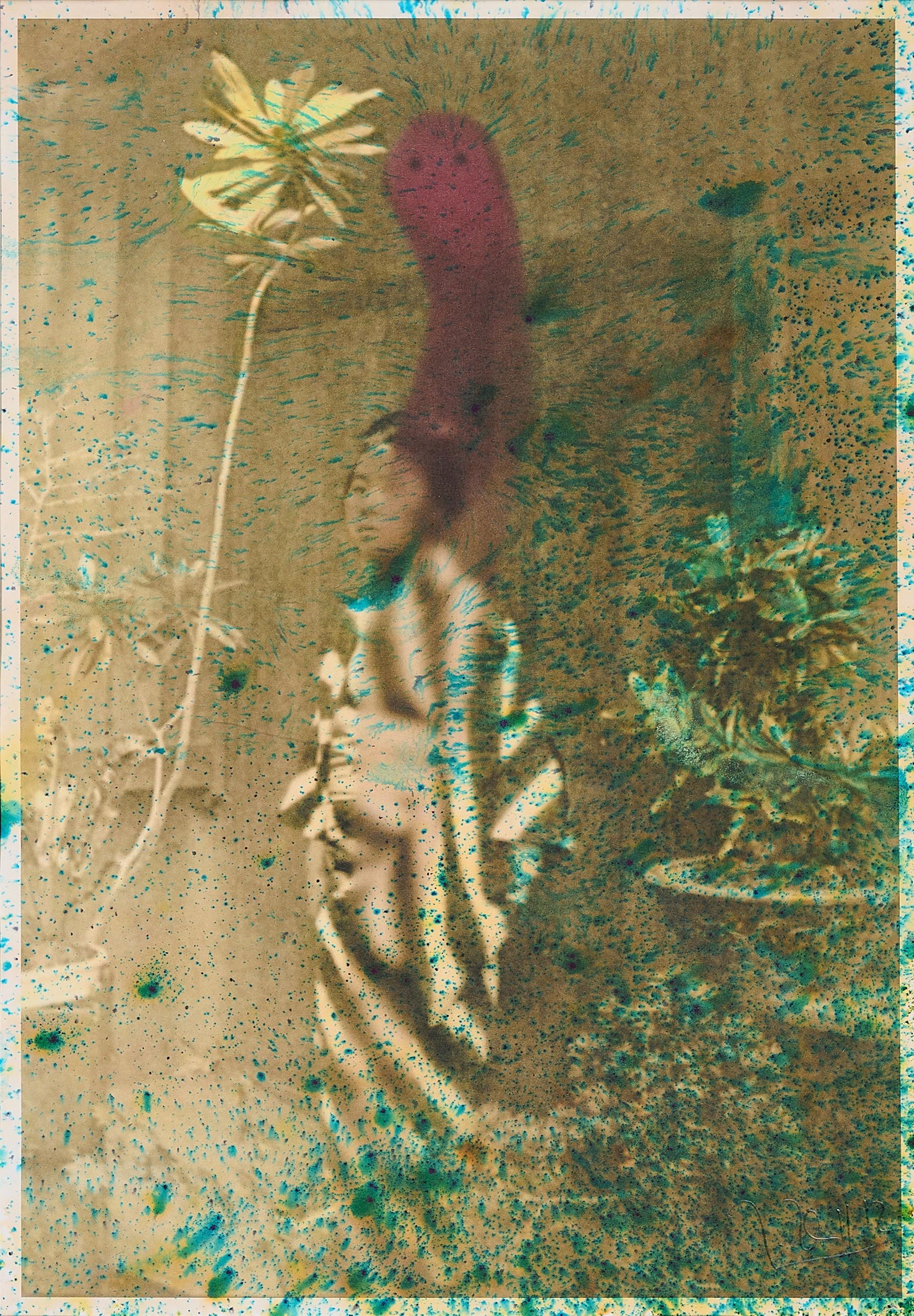 Jörg Herold - Blümchen.