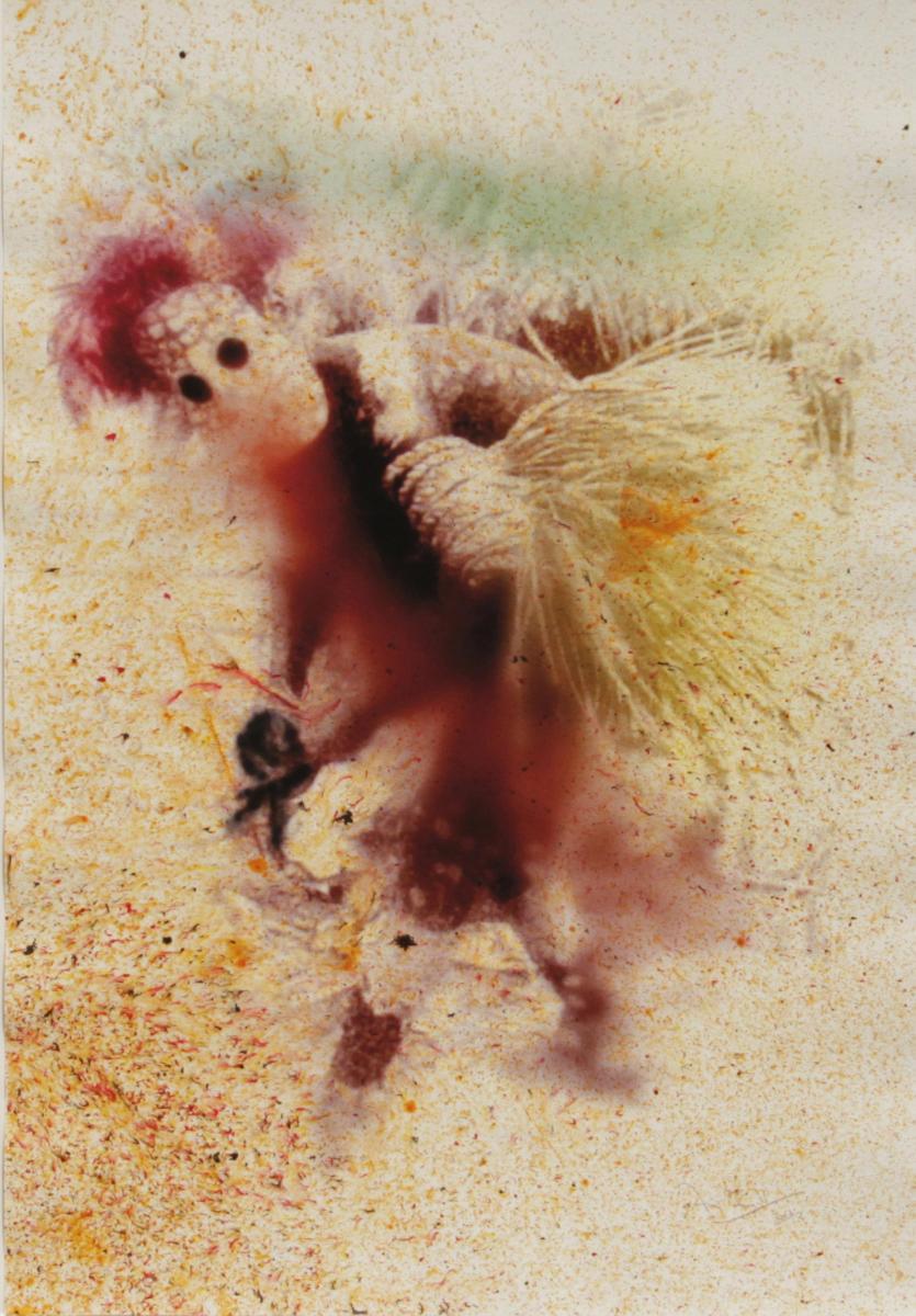 Jörg Herold - Moderator