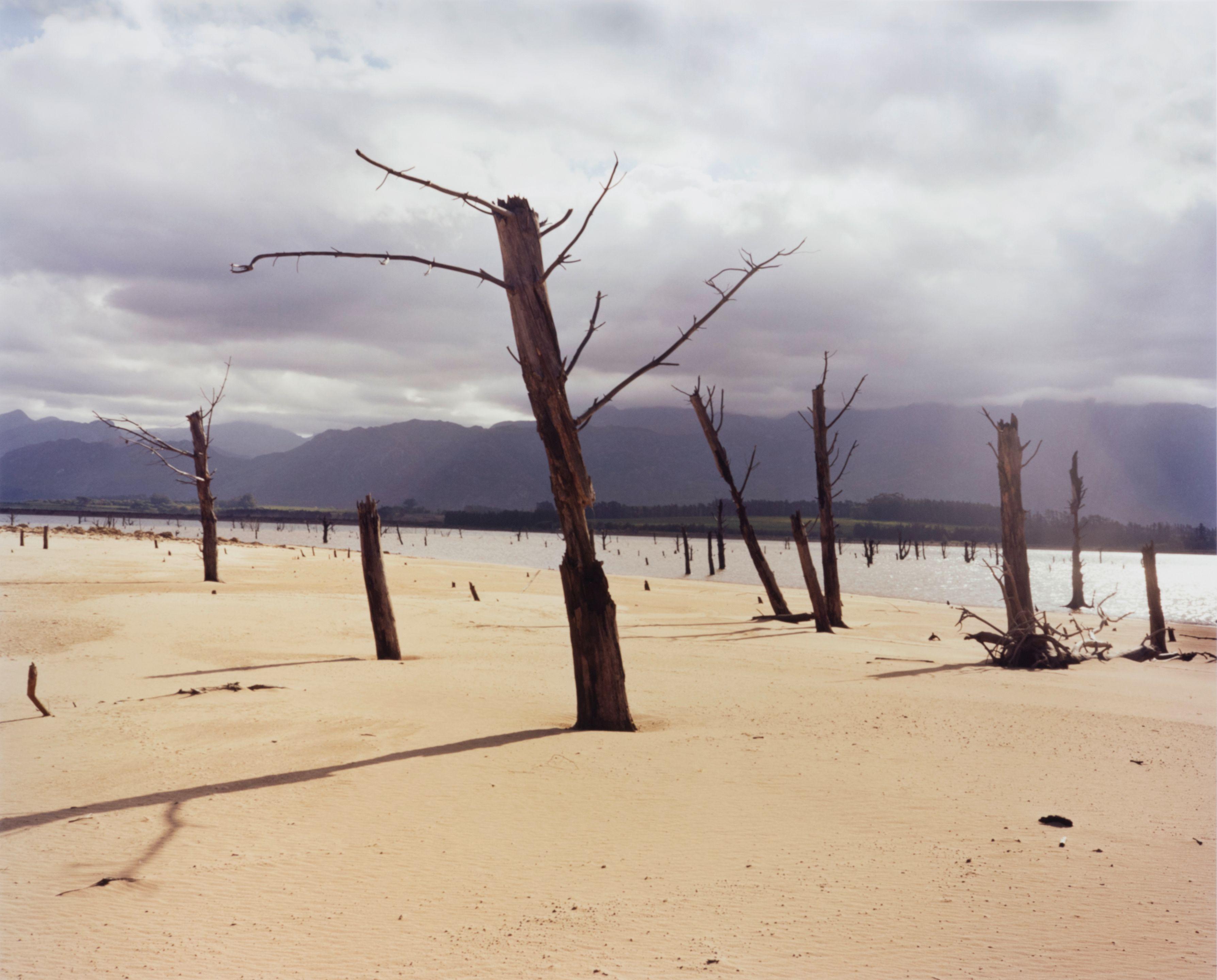 Jörn Vanhöfen - Südafrika #883