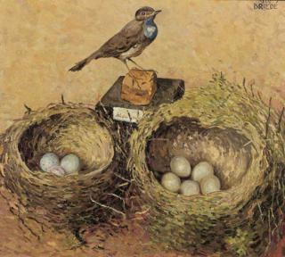 Johan Briedé - A finch with two bird\'s nests