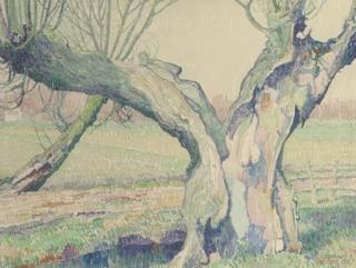 Johan Briedé - Pollard Willow By A Ditch