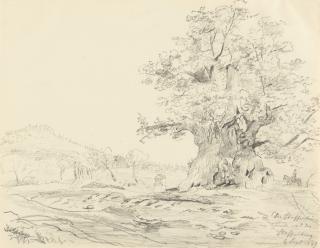 Johan Christian Clausen Dahl - Die Staffelsheimer Linde beim Staffelsberg.