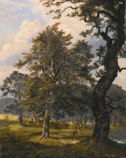 Johan Christian Clausen Dahl - Dyrehaven Near Copenhagen