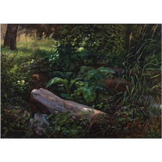 Johan Christian Dahl - Norwegian skogstudie Fra Grosser Haven I Dresden (The Grosser Garten, Dresden)