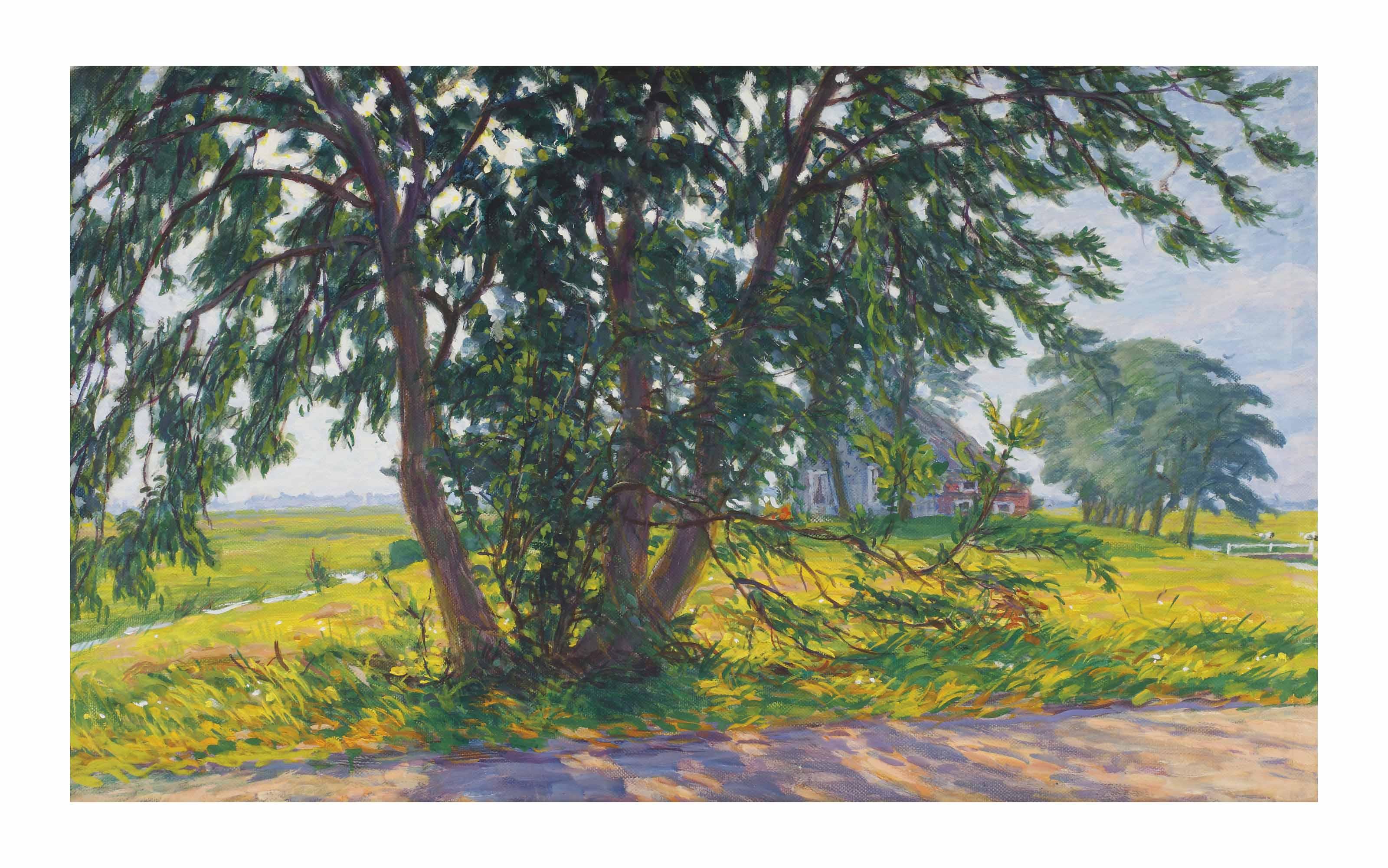 Johan Dijkstra - Landscape, Wierumerschouw