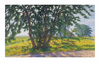 Johan Dijkstra - Landscape, Wierumerschouw