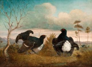 Johan Jakob Reinberg - Mating.