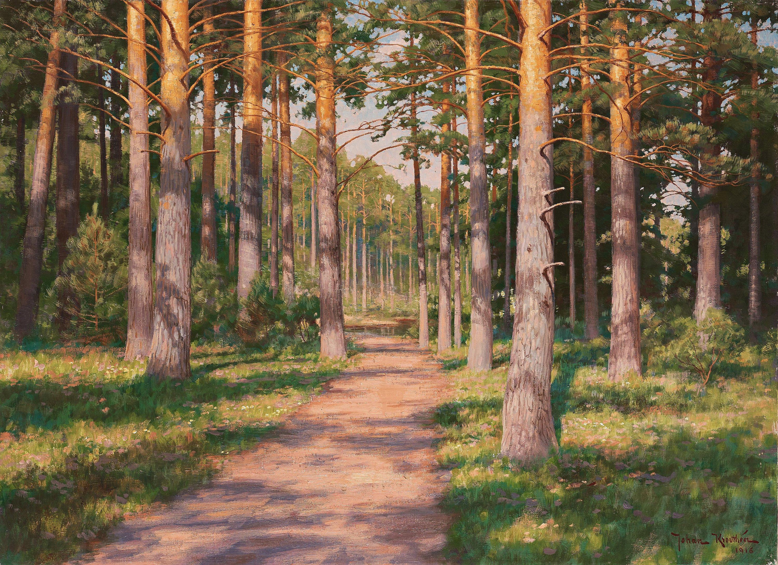 Johan Krouthén - Sunny pine forest