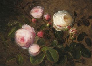 Johan-Laurents Jensen - White and pink roses